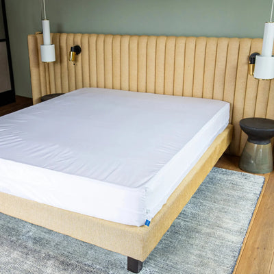 Housse-de-matelas anti punaises de lit